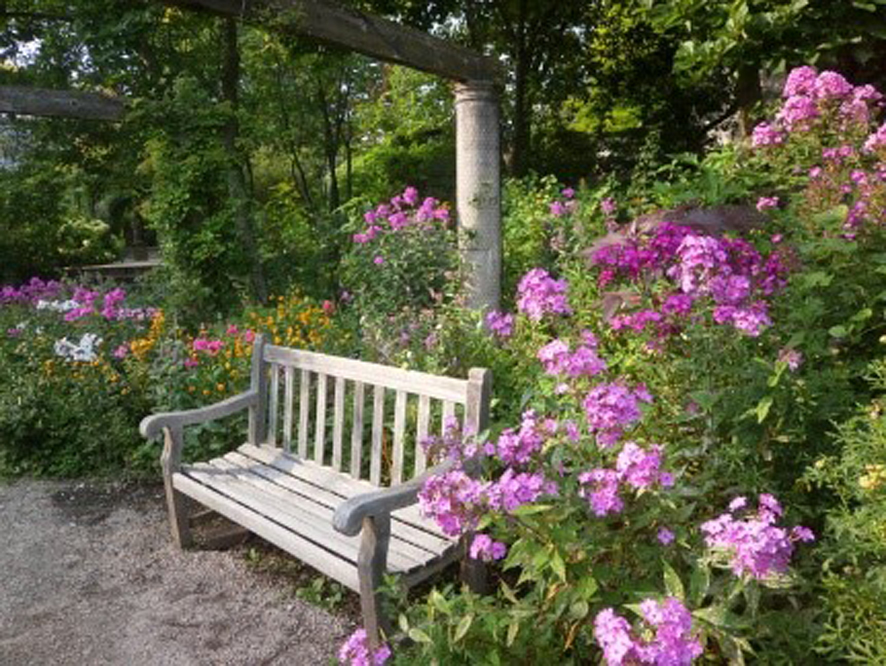 並木道とベンチのある風景