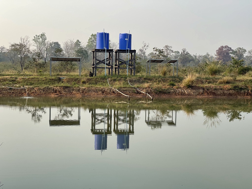 Dry season Pond in 2023