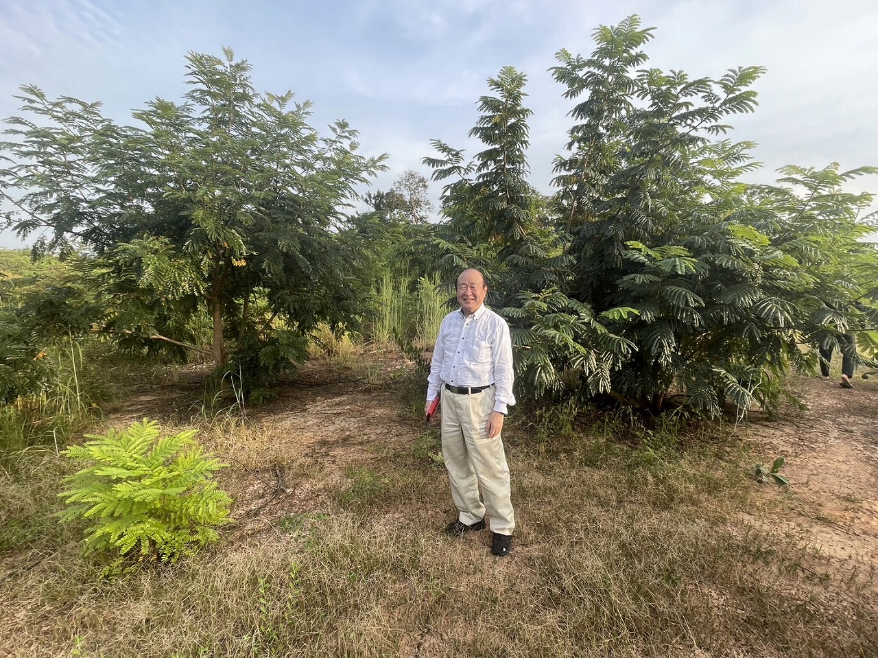 Growth of trees planted in 2020 3