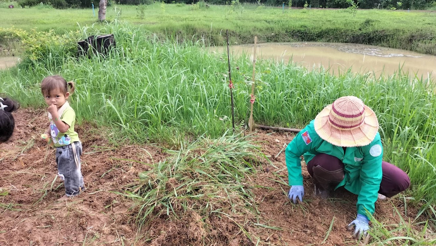 2024年植樹区域の除草作業