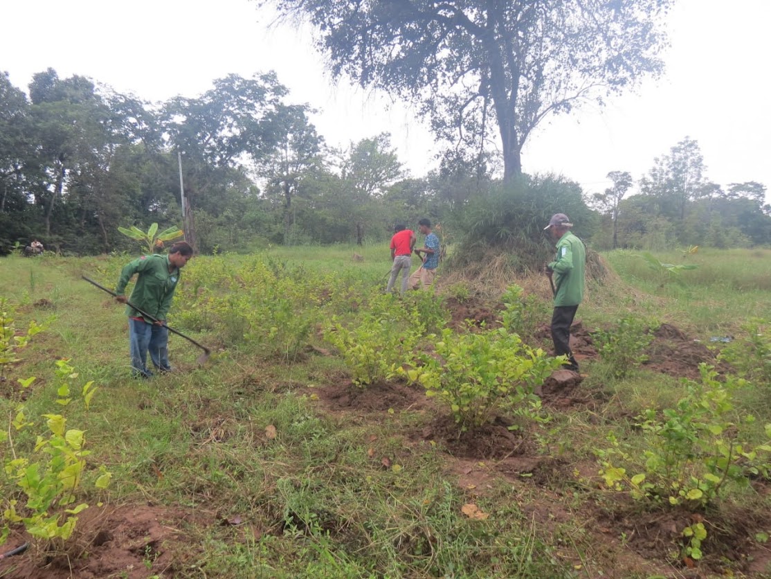 花畑の草刈り作業