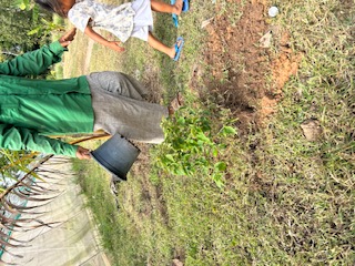 お花畑給水作業2